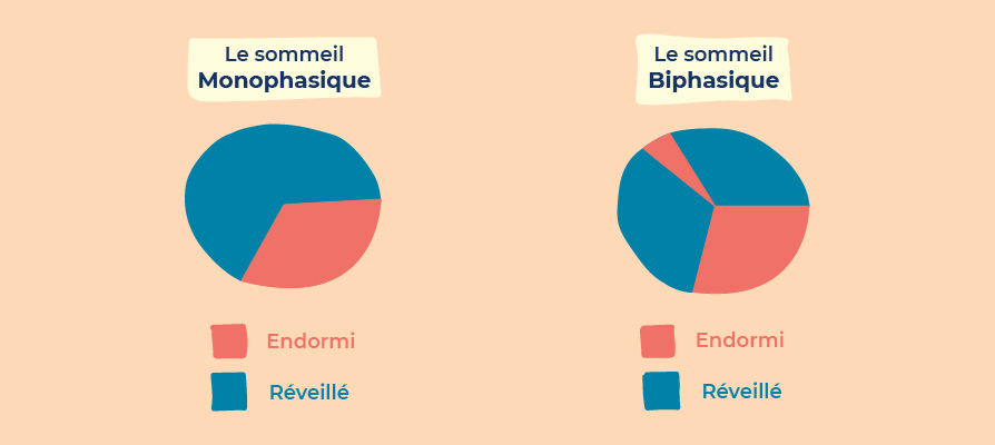 cycles du sommeil Uberman