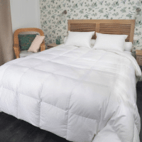 Castex-couette-duvet-oie