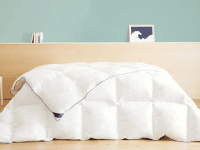 Tediber-Lincroyable-couette