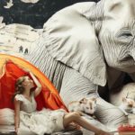 les records insolites du sommeil