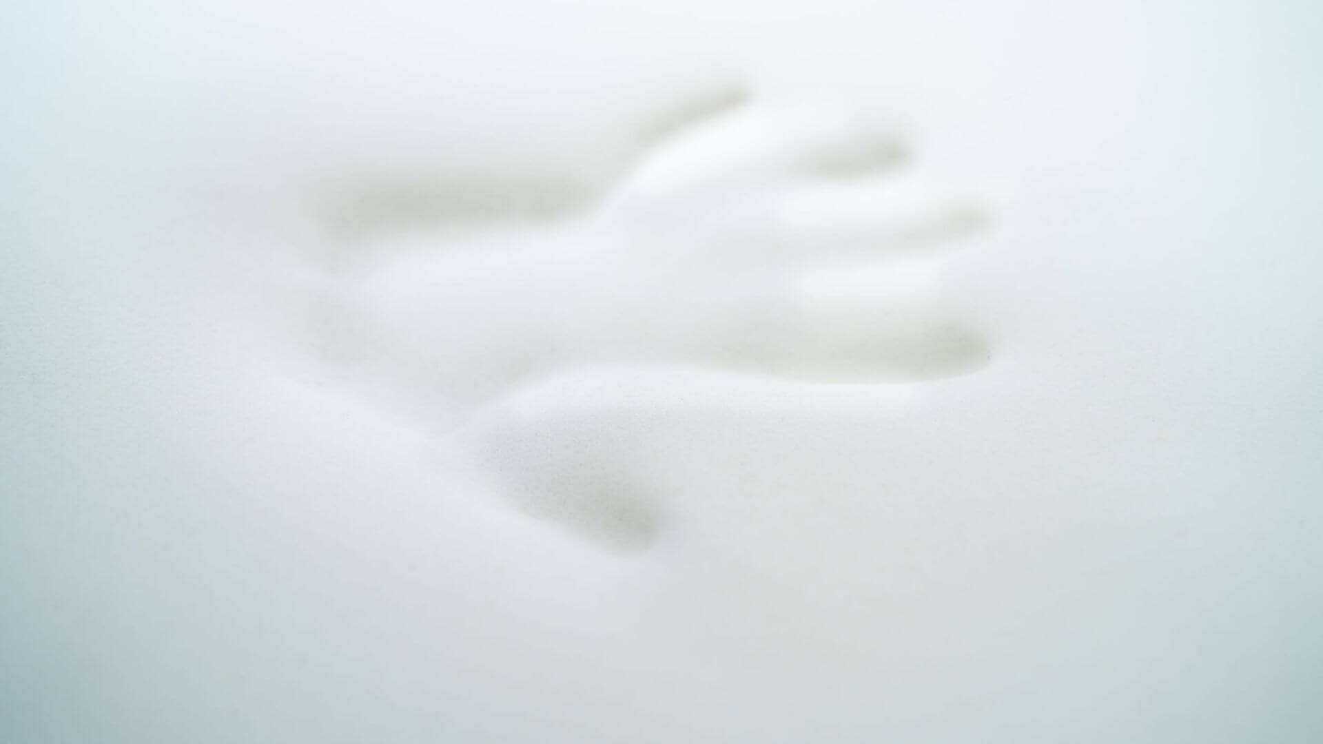 Avis sur la mémoire de forme : que valent ces oreillers ?