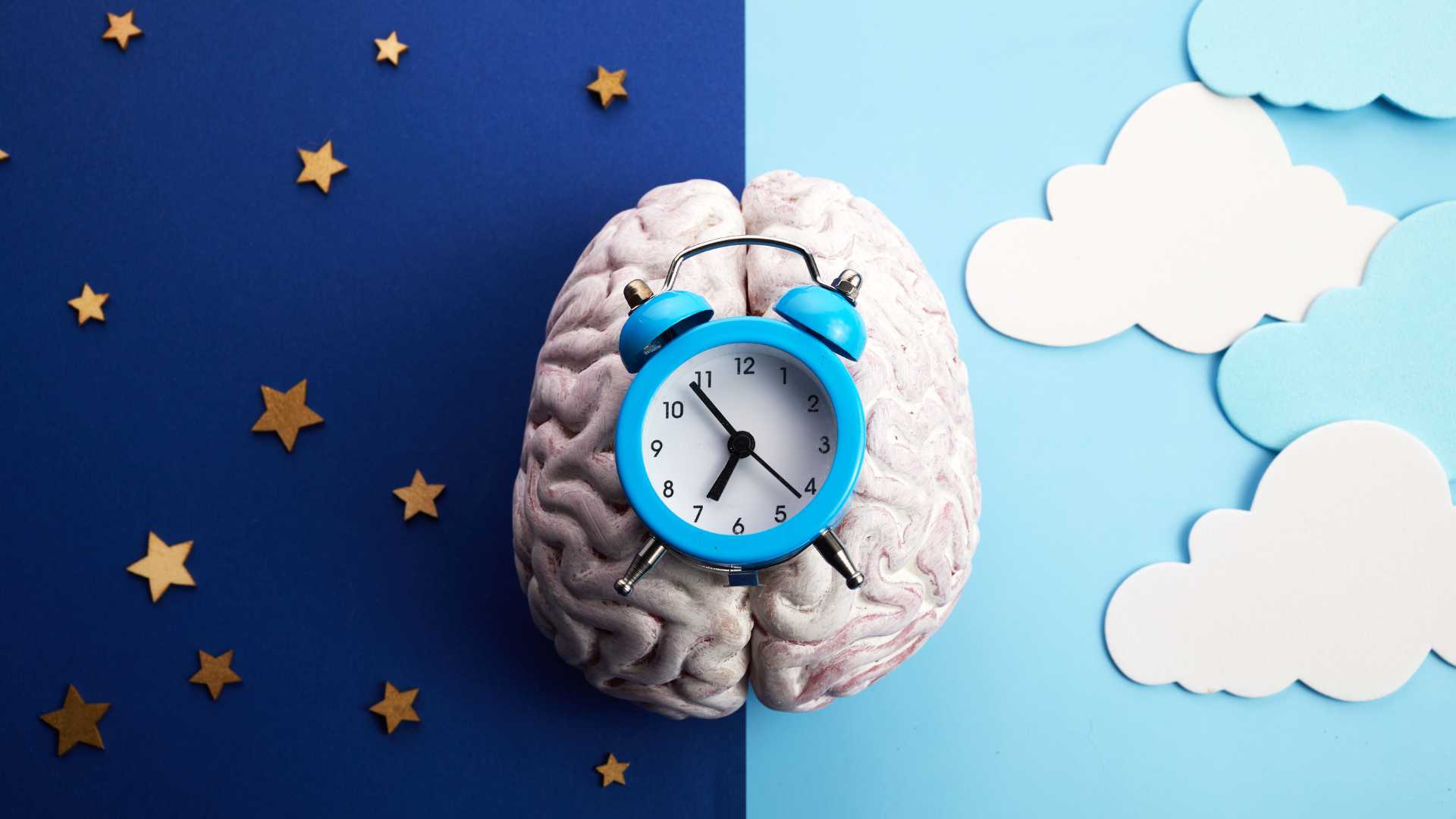 Chronobiologie : quel rythme pour rester en forme ?