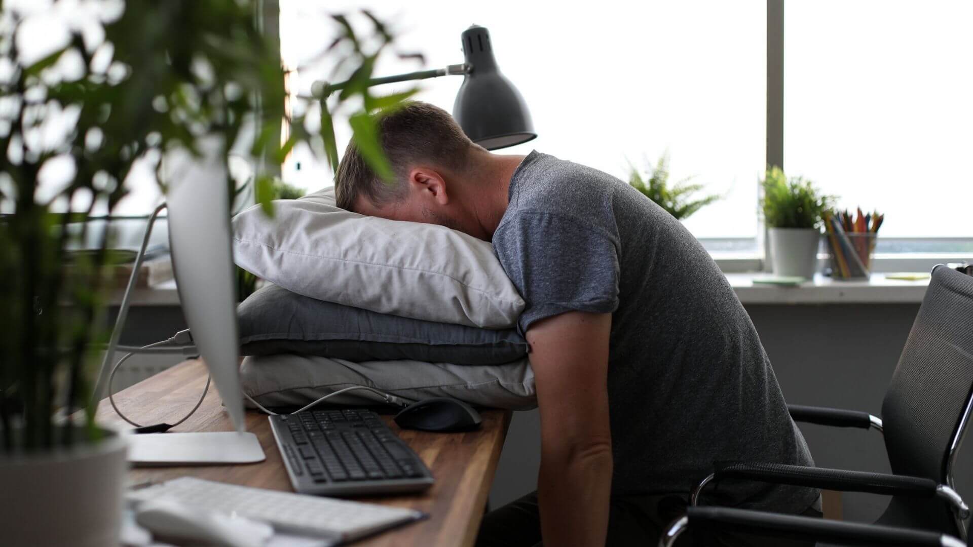 Comment bien choisir son oreiller pour la sieste au bureau ?