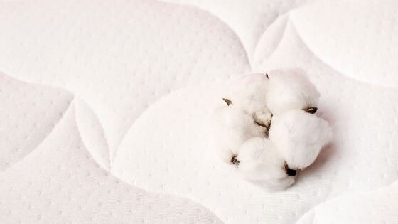 coton_sur_matelas