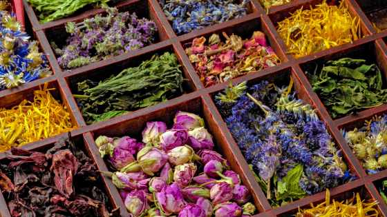 De nombreuses plantes ont des vertues médicinales intéressantes pour aider à améliorer la qualité du sommeil