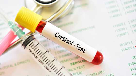 impactu du magnésium sur le cortisol