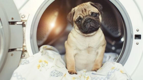Laver_regulierement_son_linge_de_lit_pour_eviter_les_allergies_grande