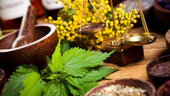 L'utilisation de la phytothérapie dans le traitement des troubles du sommeil