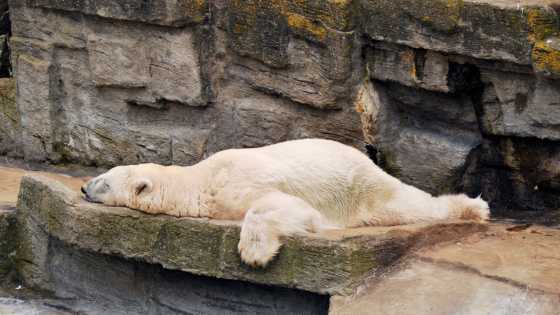 Quel est l'impact du réchauffement climatique sur le sommeil ?